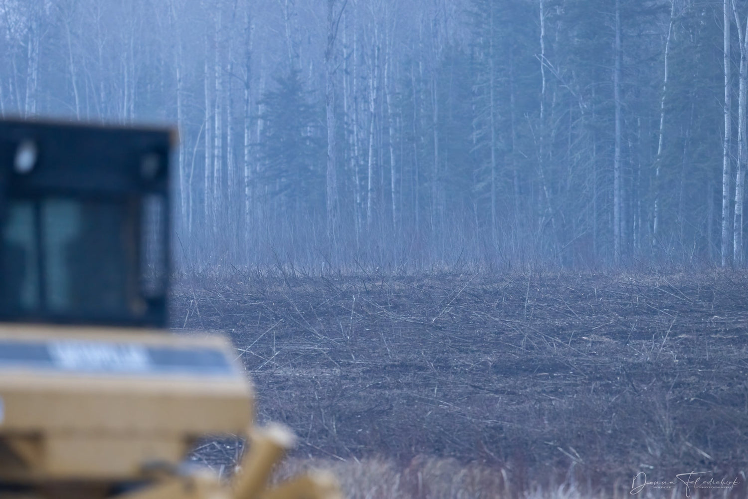 A bulldozer clearing forested land in Northern Alberta's Boreal Forest