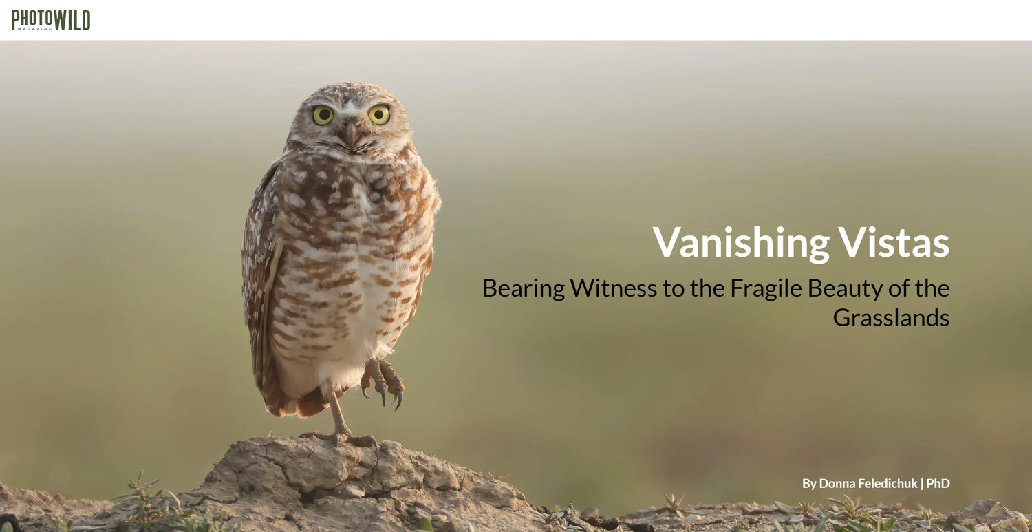 The Stories That Matter - Donna Feledichuk Wildlife Photography