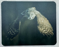 Emergence Wildlife Photography Mousepad - Donna Feledichuk Wildlife Photography