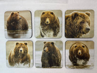 Grizzly Bear Series Square Neoprene Coaster Set of 6 - Donna Feledichuk Wildlife Photography