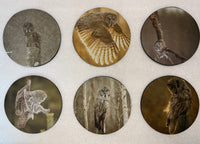 Great Gray Owls Series Circle Neoprene Coaster Set of 6 - Donna Feledichuk Wildlife Photography