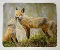I Love You Mom Wildlife Photography Mousepad - Donna Feledichuk Wildlife Photography