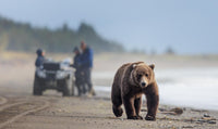The Business of Wildlife Photography Mentorship Program - Donna Feledichuk Wildlife Photography