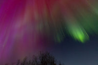 Celestial Symphony Limited Edition Print - Donna Feledichuk Wildlife Photography