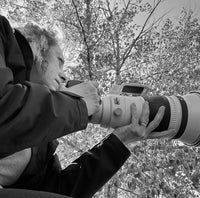 Coaching - A Day in the Field - Donna Feledichuk Wildlife Photography