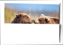 Load image into Gallery viewer, A fine art wildlife photography greeting card of a coastal brown bear and cub
