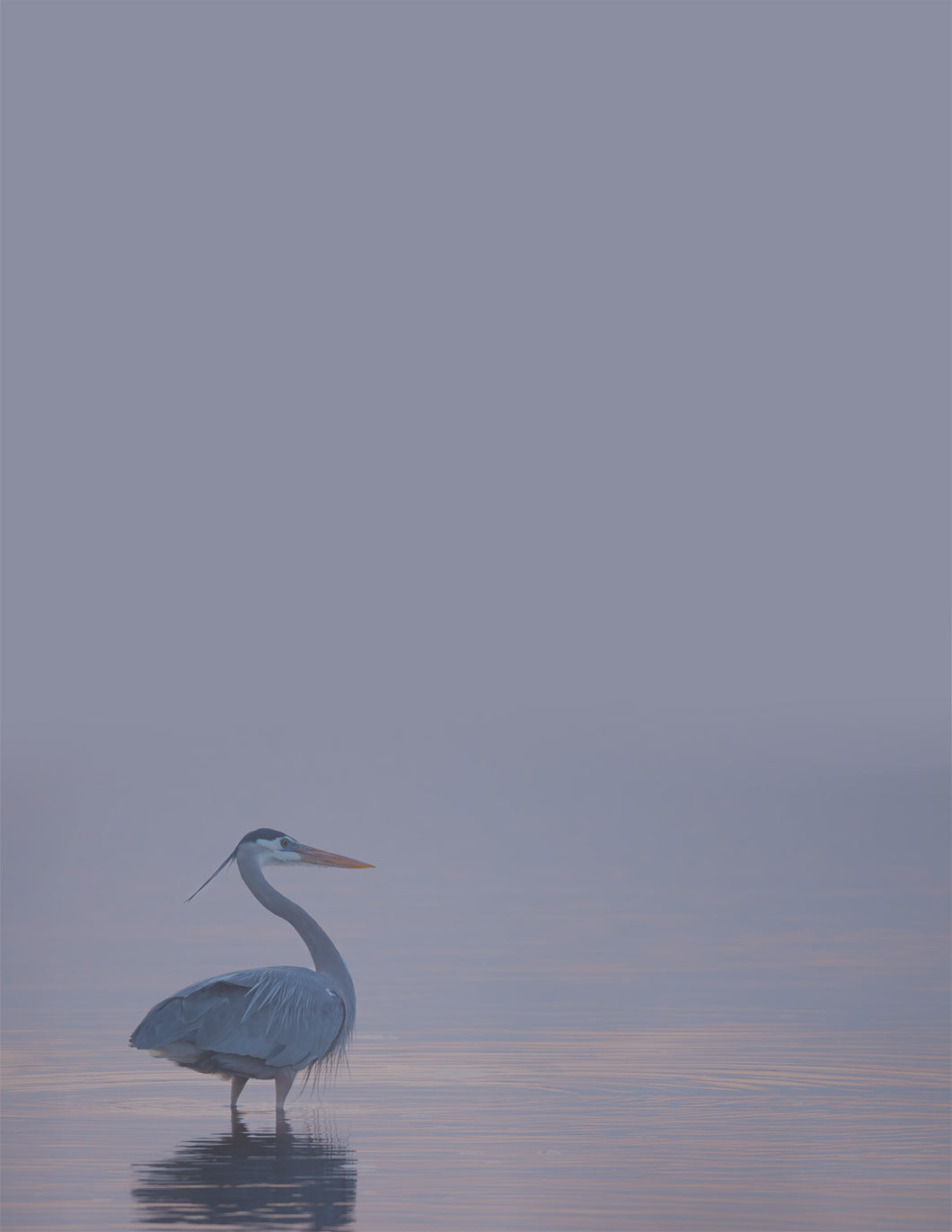 Evening Serenity - Fine Art Wildlife Photography Small Notepad