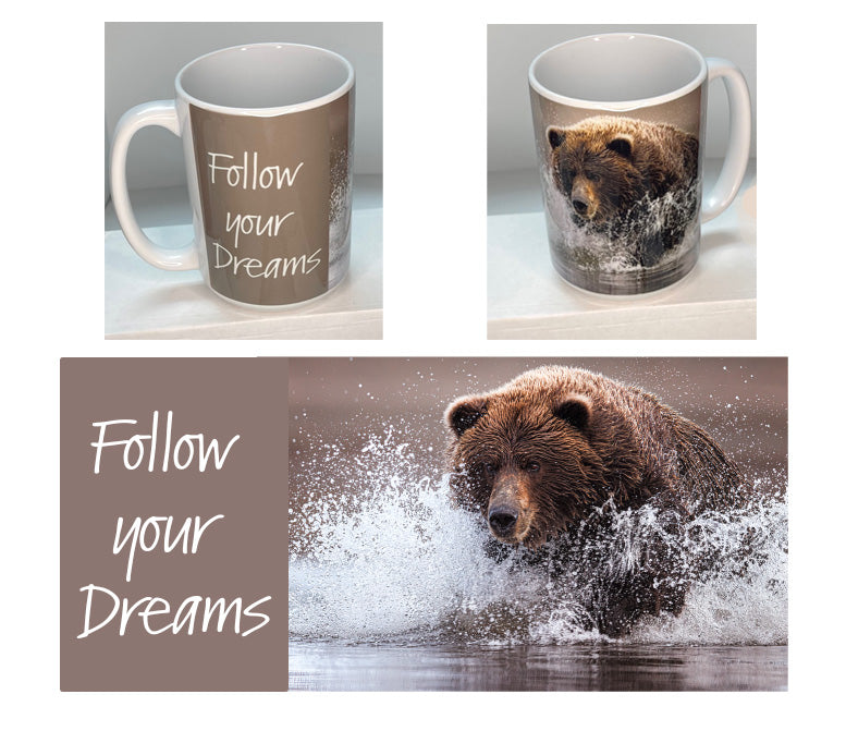Follow Your Dreams 15 oz mug