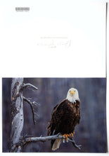 Load image into Gallery viewer, A fine art photography greeting card of a bald eagle
