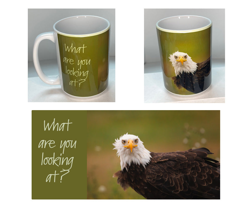 What are you looking at? 15 oz mug