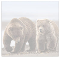 Family - Fine Art Wildlife Photography Post-it Notes - Donna Feledichuk Wildlife Photography