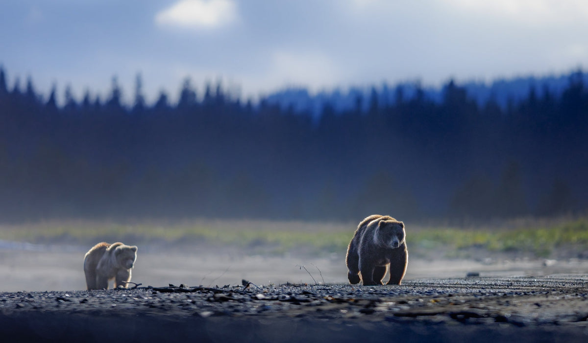 When The Wildlife Photograph Isn’t Always About the Wildlife