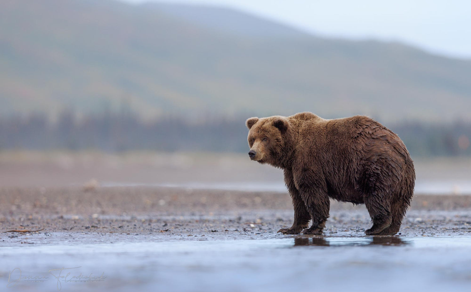 Revisiting Alaska