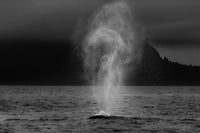 Breath Between Worlds Limited Edition Print