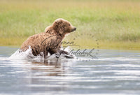 River Crossing - Image for Licensing