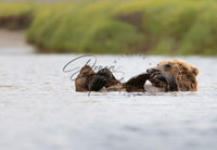 Bath TIme - Image for Licensing
