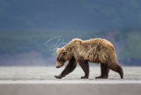Coastal Stroll - Image for Licensing