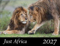 A photographic print or poster featuring two lions in a grassy outdoor setting, with a black banner at the bottom containing the text 'Just Africa 2027' in white lettering.