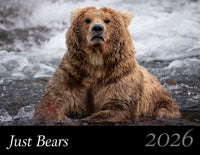 2026 Just Bears Calendar Pre-Order