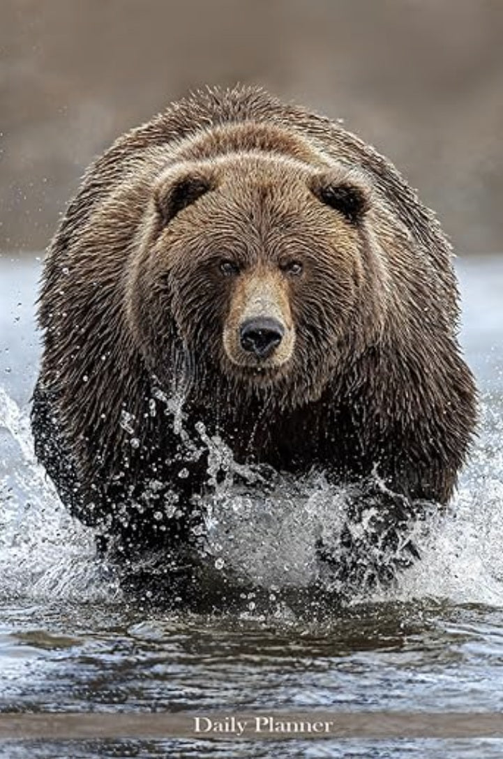 Daily Planner: Focused Agenda and To-Do List Organizer with Coastal Brown Bear Cover - Donna Feledichuk Wildlife Photography