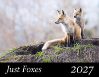 A fox family scene with two red foxes standing on a grassy mound, with a black banner at the bottom reading 'Just Foxes 2027'.