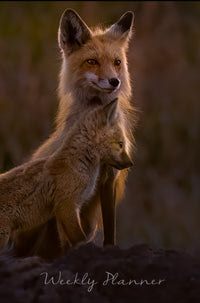 Weekly Planner with Fox Cover