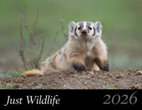 2026 Just Wildlife Calendar Pre-Order