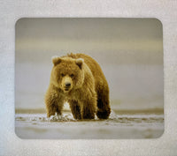 Ocean Walk Wildlife Photography Mousepad