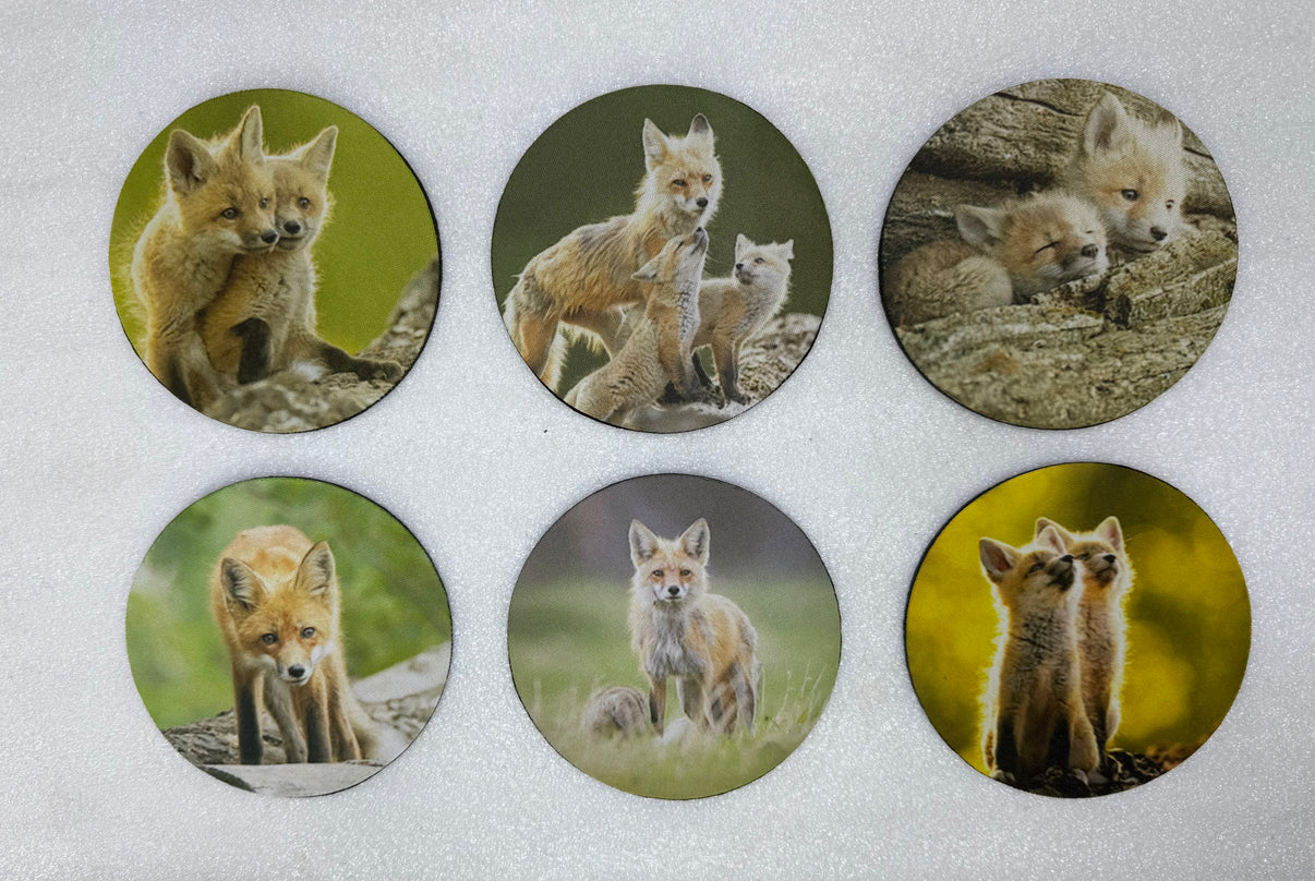 Red Foxes Series Circle Neoprene Coaster Set of 6 - Donna Feledichuk Wildlife Photography