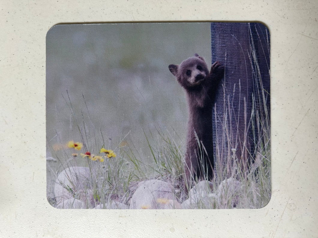 Bearly Ready to Climb Wildlife Photography Mousepad