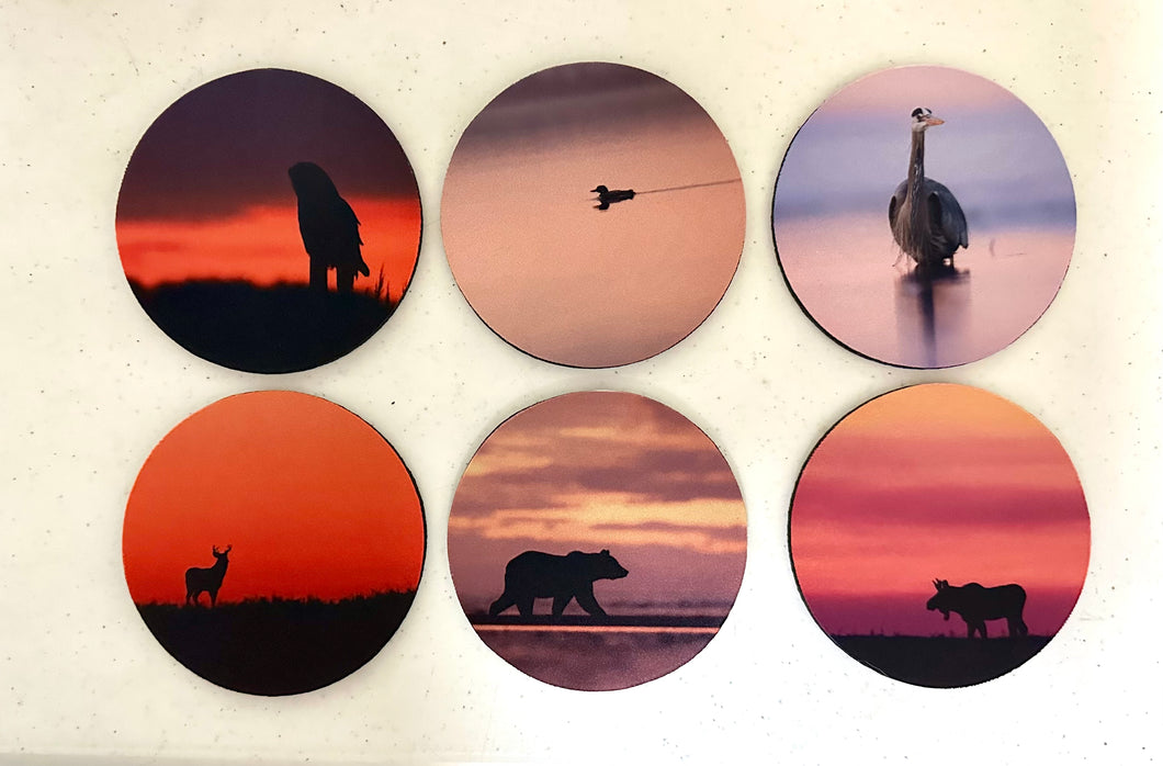Sunset Series Circle Neoprene Coaster Set of 6