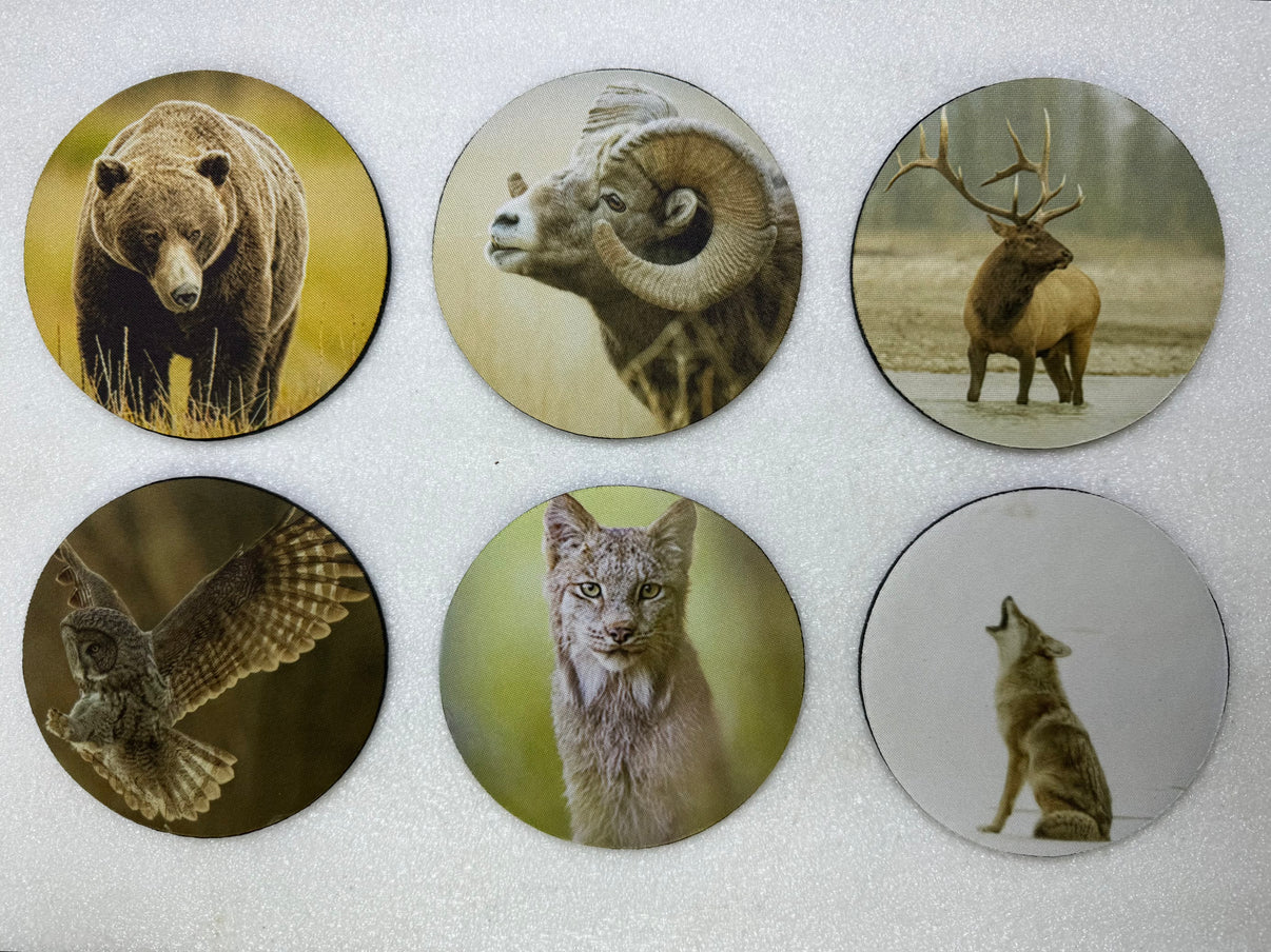 Wildlife Series Circle Neoprene Coaster Set of 6 - Donna Feledichuk Wildlife Photography