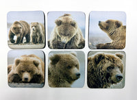 Coastal Brown Bear Square Neoprene Coaster Set