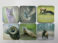 Wildlife Series Square Neoprene Coaster Set of 6