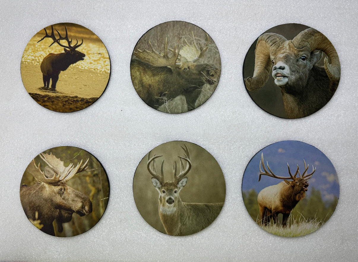 Horns and Antlers Series Circle Neoprene Coaster Set of 6 - Donna Feledichuk Wildlife Photography