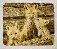 A Trio of Trouble Wildlife Photography Mousepad