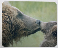 A Mother’s Kiss Wildlife Photography Mousepad