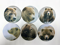 Coastal Brown Bear Series Circle Neoprene Coaster Set of 6