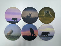 Sunset Series Circle Neoprene Coaster Set of 6