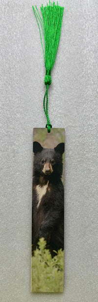 Large Black Bear Cub Hardboard Bookmark