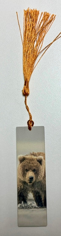 Small Brown Bear Cub Hardboard Bookmark