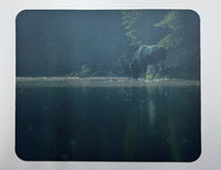 Morning Moose Wildlife Photography Mousepad