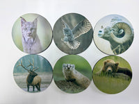 Wildlife Series Circle Neoprene Coaster Set of 6