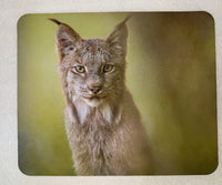 Whispers of the Forest Wildlife Photography Mousepad