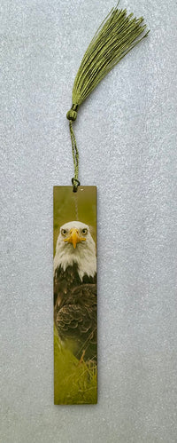 Large Bald Eagle Hardboard Bookmark - Donna Feledichuk Wildlife Photography