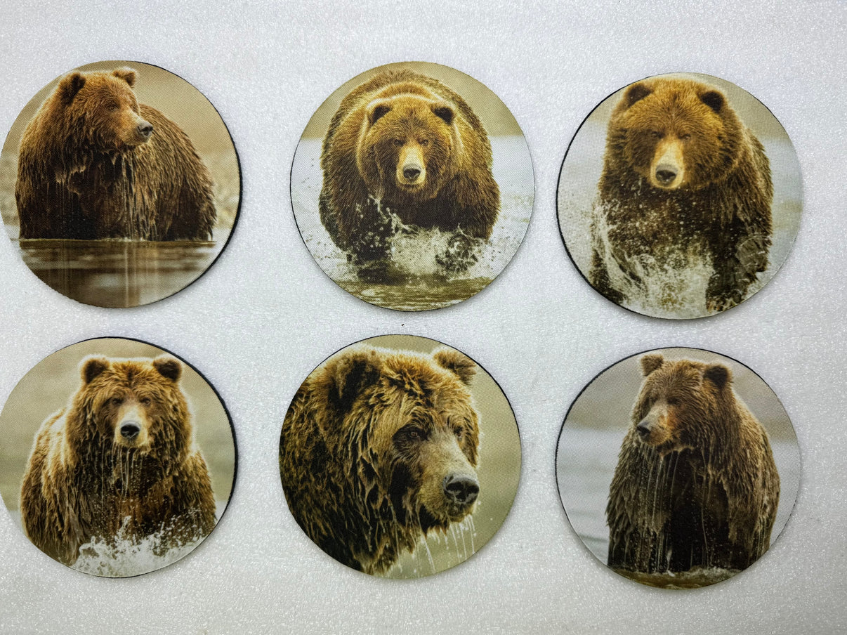 Grizzly Bear Series Circle Neoprene Coaster Set of 6 - Donna Feledichuk Wildlife Photography
