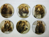 Grizzly Bear Series Circle Neoprene Coaster Set of 6