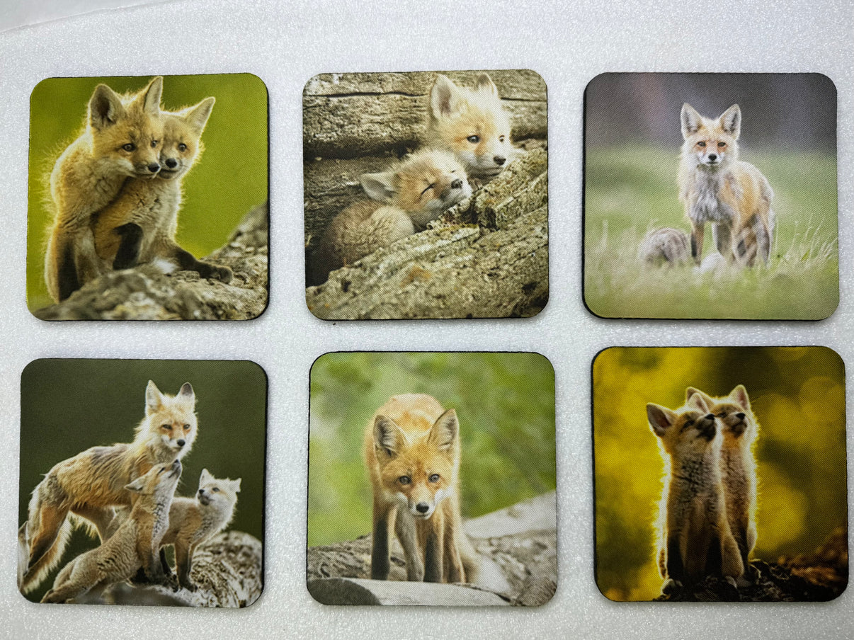 Red Foxes Series Square Neoprene Coaster Set of 6 - Donna Feledichuk Wildlife Photography