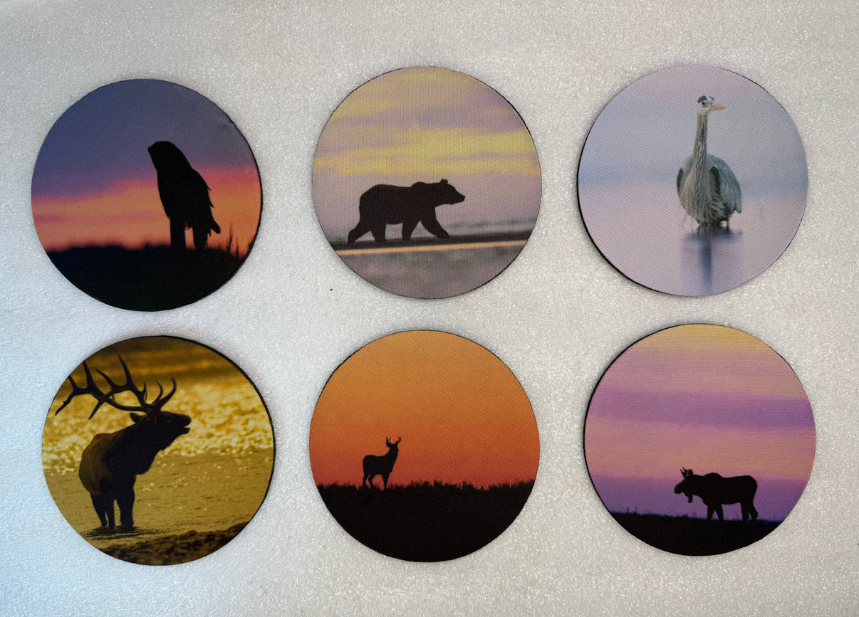 Sunset Series Circle Neoprene Coaster Set of 6 - Donna Feledichuk Wildlife Photography