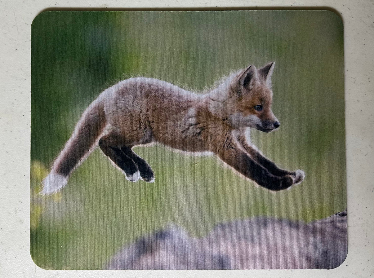 A Playful Leap Wildlife Photography Mousepad - Donna Feledichuk Wildlife Photography
